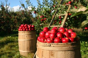 Sichere und ertragreiche Geldanlage